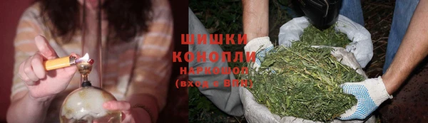 ПСИЛОЦИБИНОВЫЕ ГРИБЫ Аркадак