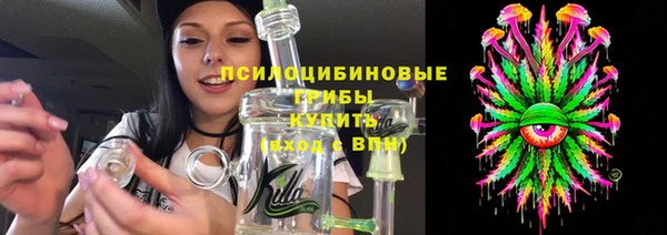 ПСИЛОЦИБИНОВЫЕ ГРИБЫ Аркадак